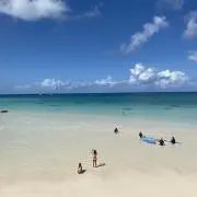 れもんの画像