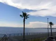 pastelgreen　プロフ必読！の画像