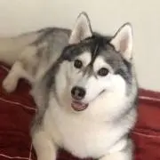きいきい