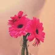 ユユノスケの画像