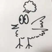 ⭐︎お値引き交渉大歓迎とりコック⭐︎