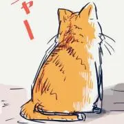 Kiraraの画像