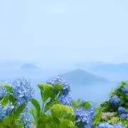 miiの画像