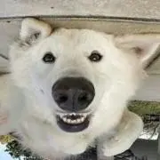 まさむねの画像