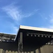 むーの画像