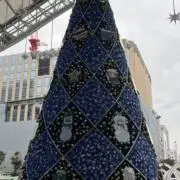 おもち