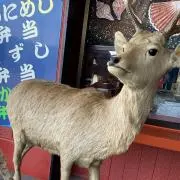 ユッペロペッポ