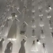 もふもふの画像