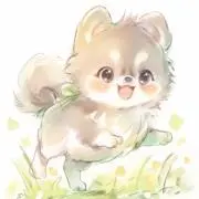 Rの画像