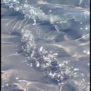 たんの画像