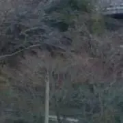 HULA