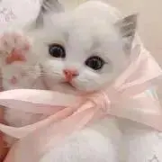 あむの画像