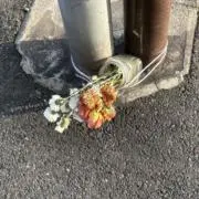 suiの画像