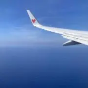 シマナギの画像
