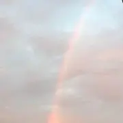 ぴよ