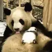 かわせみ★断捨離セール中の画像