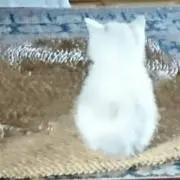 山の画像