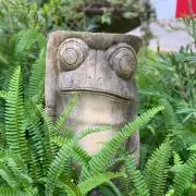 たかぼーの画像