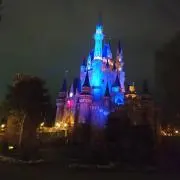 うさ☆