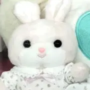 アイビー