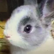 kenの画像