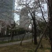 kazuの画像
