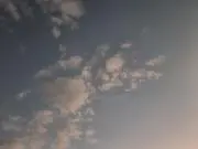 桜姫～自己紹介確認お願いいたします～の画像