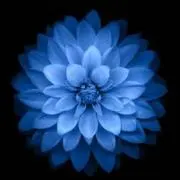 zirahu1128☆断捨離中の画像