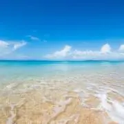 田中の画像