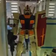 ポピーの画像