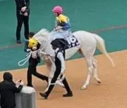 なみぃ  プロフ必読 お願いします☆の画像