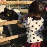 とも☆の画像