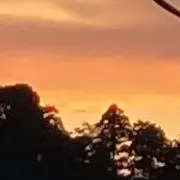 ドラの画像