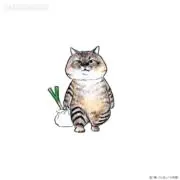 riccoの画像