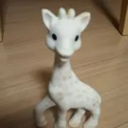 そふぃーの画像