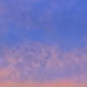 てんの画像