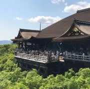 ⭐️青空スピード配送⭐️プロフ必読の画像