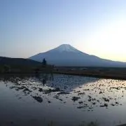 marumama