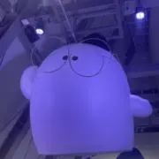 ma_sanの画像