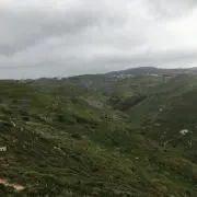 あきの画像