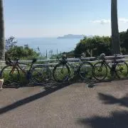 よし
