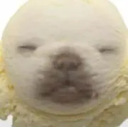 らんの画像