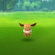 こんの画像