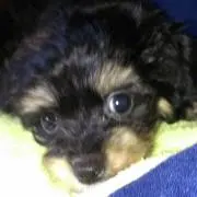 めぃめい☆♪