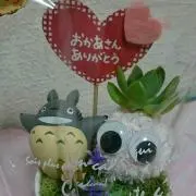 みかん