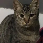 Ｑ：プロフ必読願います。の画像