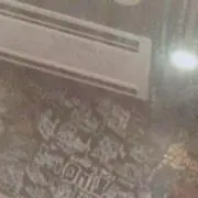 瑠