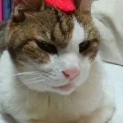 haru（プロフィール必読）の画像