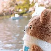 りーの画像