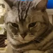 みなの画像
